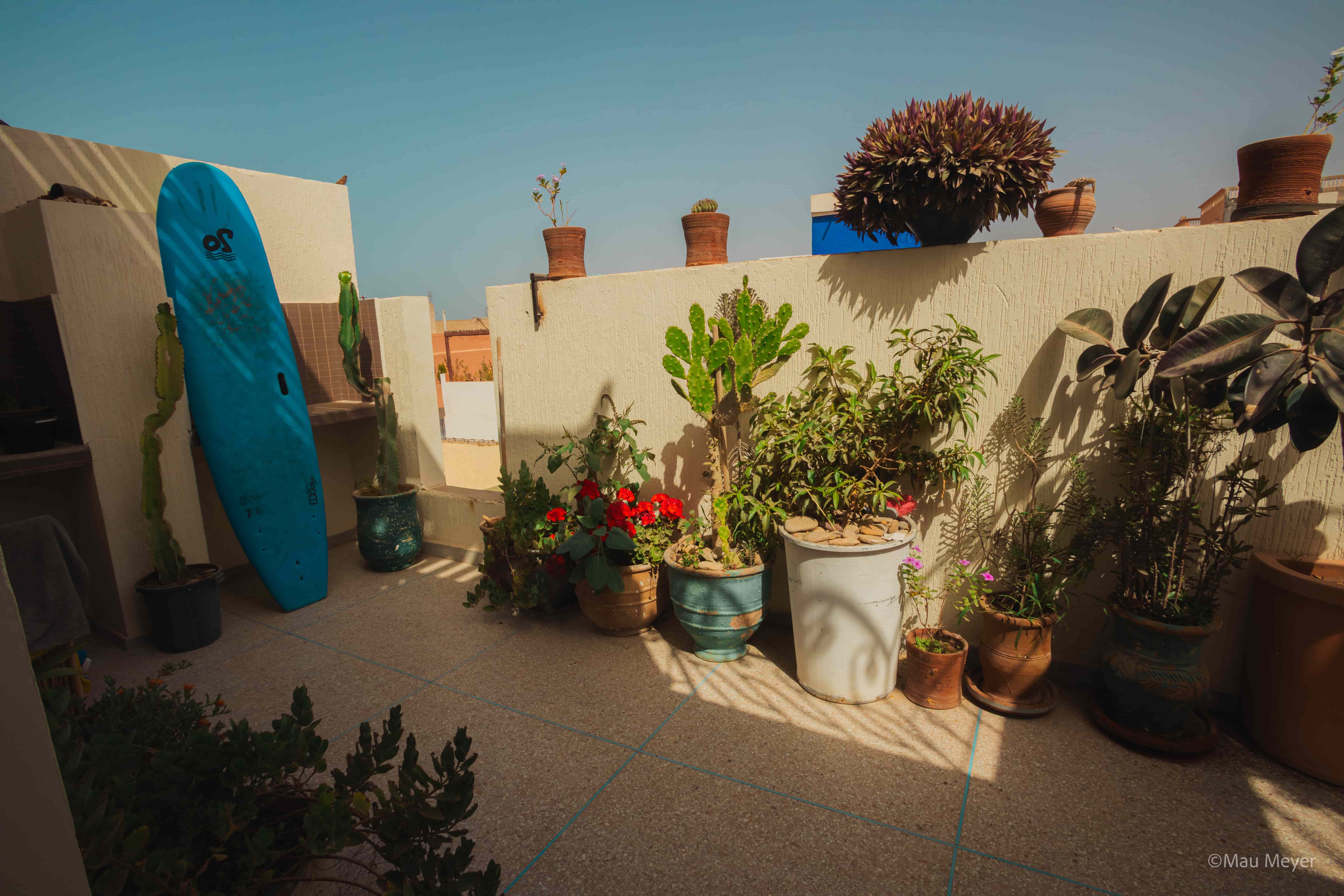 Surfer's Heimat — photo 2